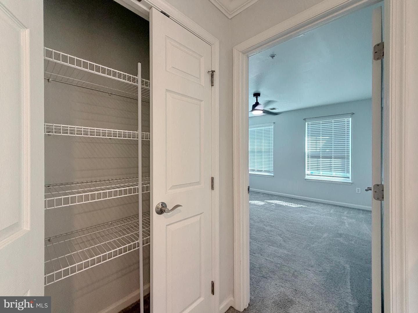 3429 Linden Grove Drive photo 65