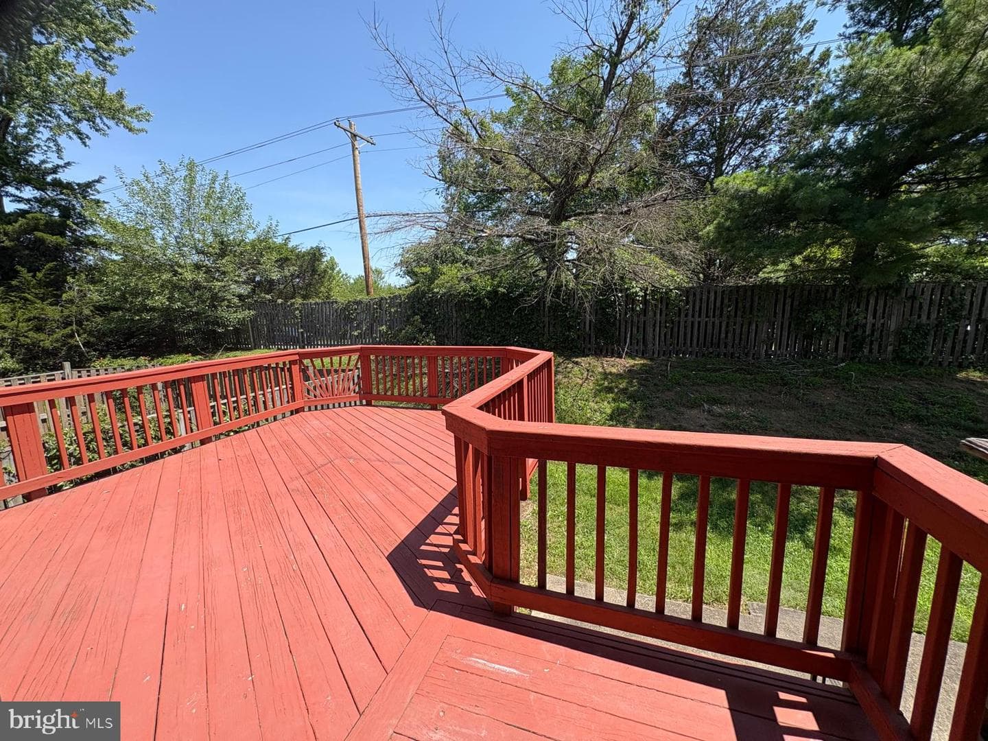 12435 Turtle Dove Place photo 43