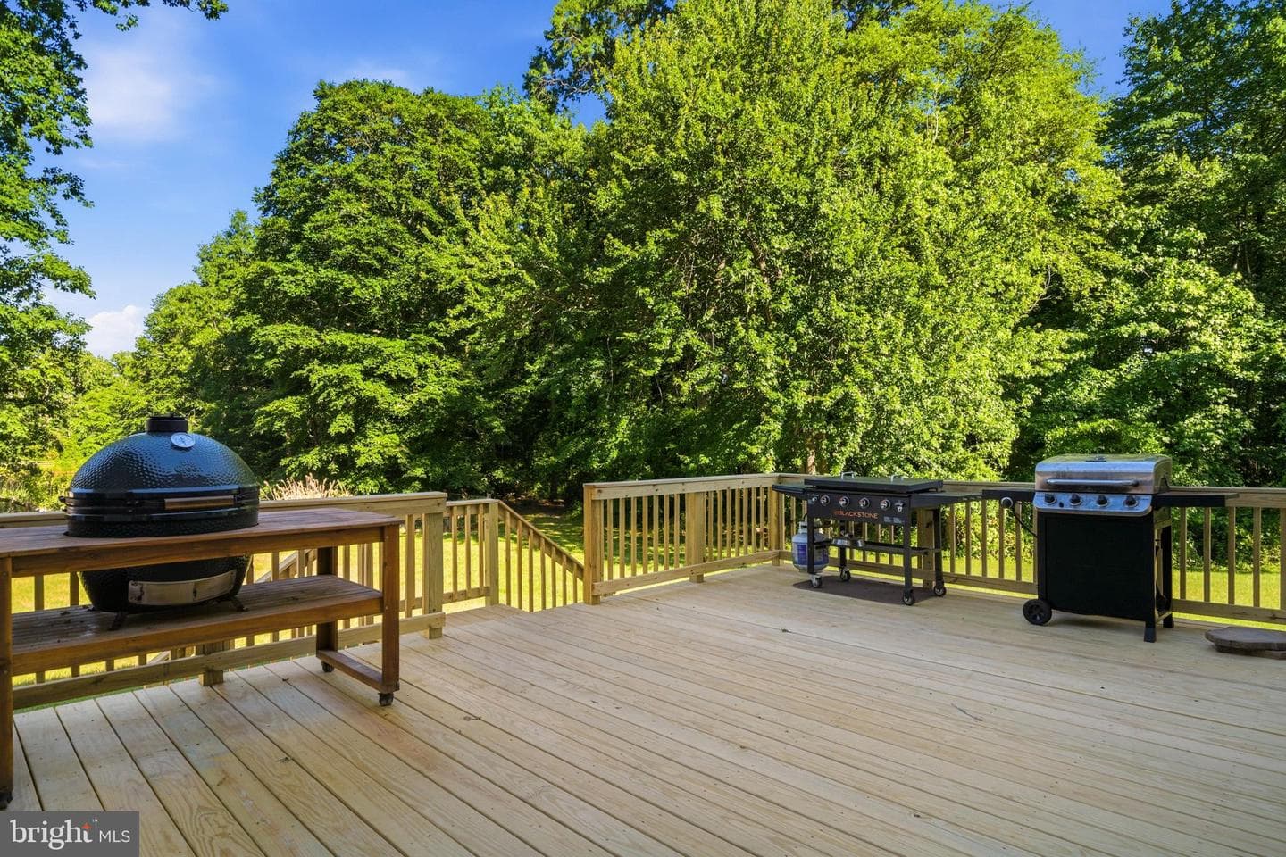 11676 Cygnet Drive photo 38