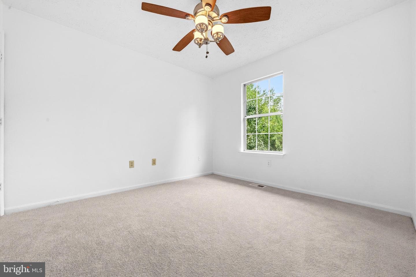 6825 Cologo Court photo 21