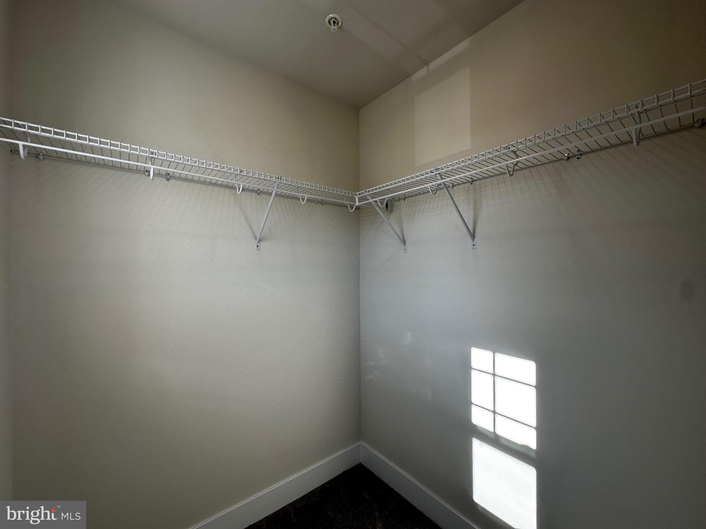 10525 Cosmos Ct photo 49