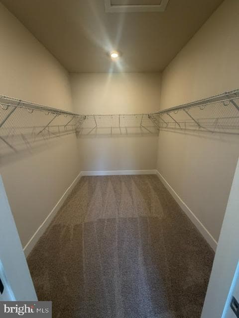 10591 Great Basin Place photo 7