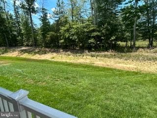 10109 Shenandoah Lane photo 13