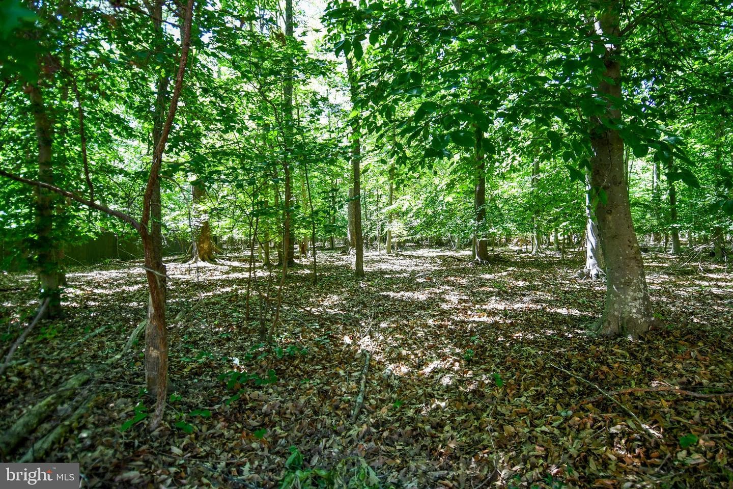 8870 Brook Drive photo 45
