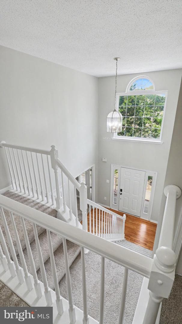 101 Powhatan Court photo 51