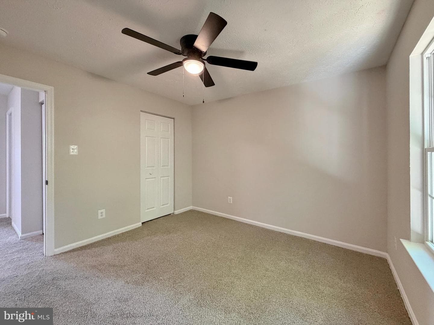 16 Chinaberry Lane photo 30