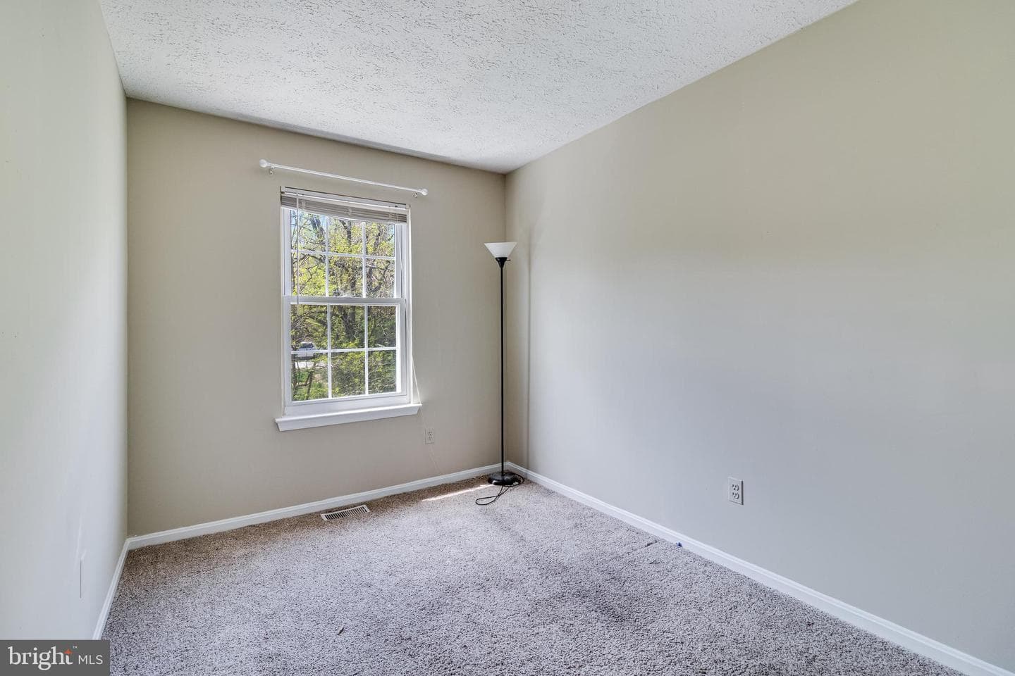 35 Dove Tree Court photo 18