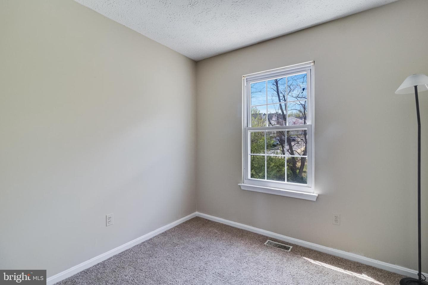 35 Dove Tree Court photo 20