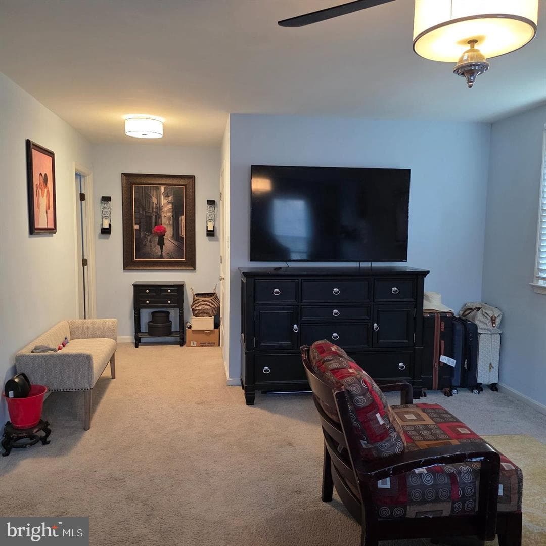 1113 E Patuxent Drive photo 23