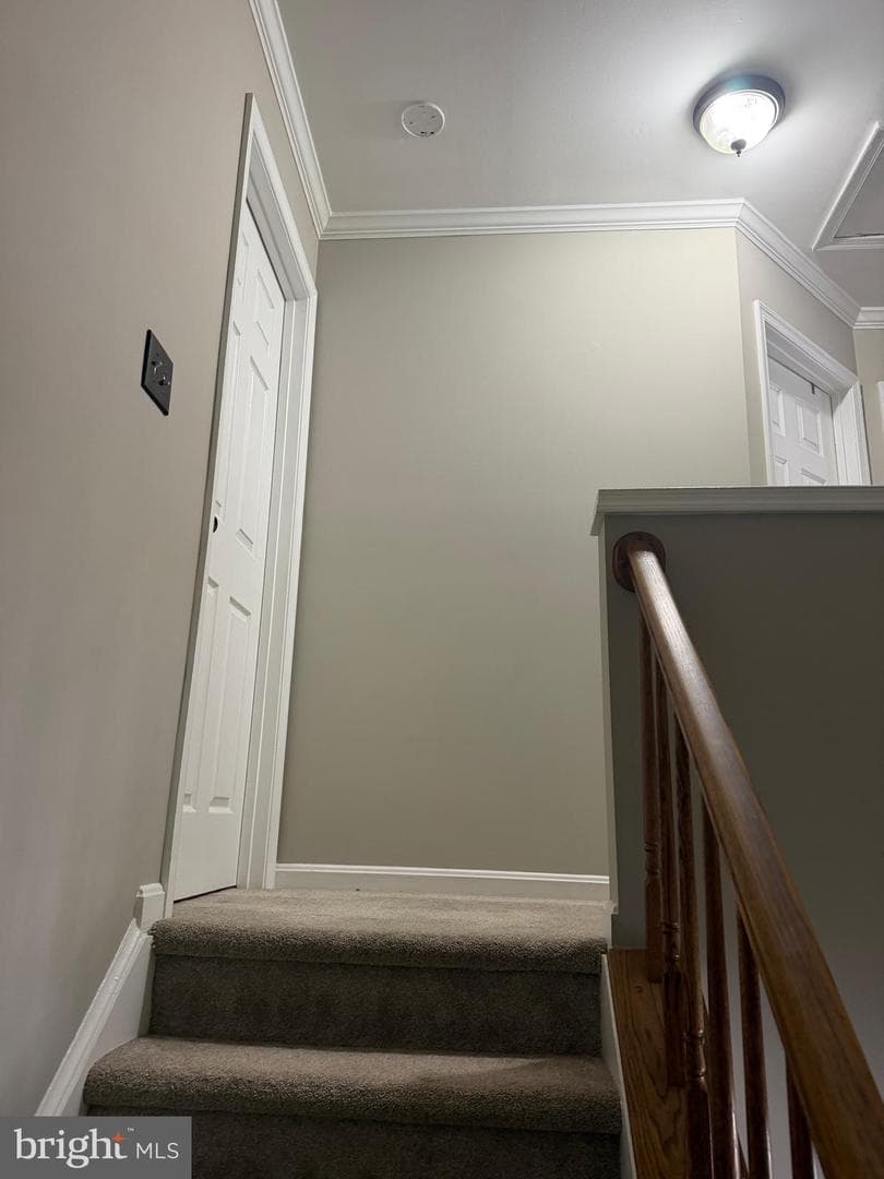11215 Heron Place photo 11