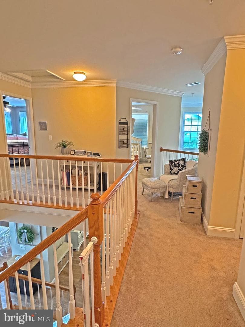 1004 Oats Drive photo 13
