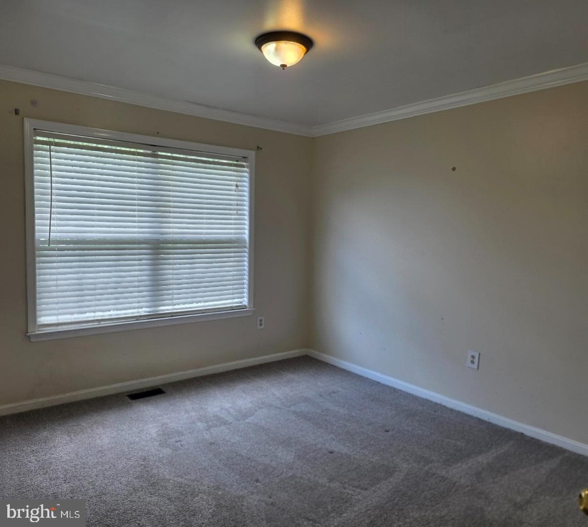 8264 Cheswolde Court photo 25