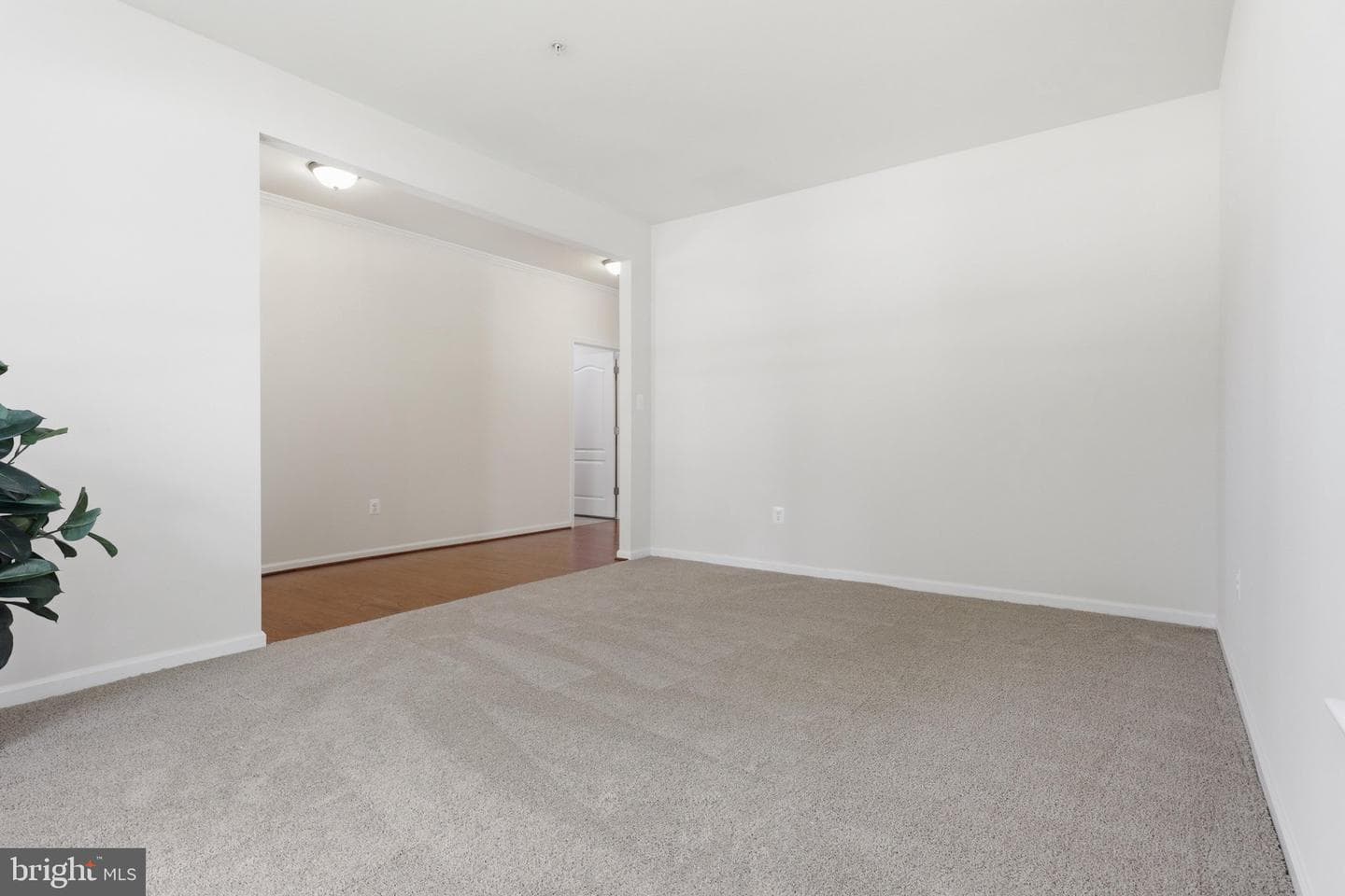 11253 Inwood Lane photo 3
