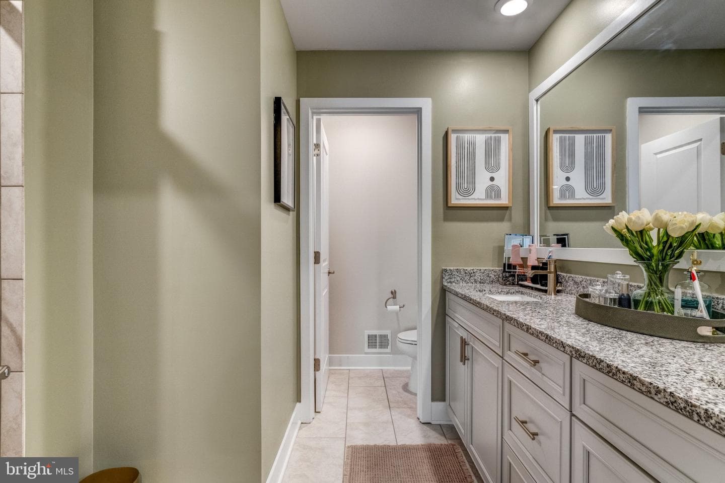 11716 Emily Dickinson Place photo 29