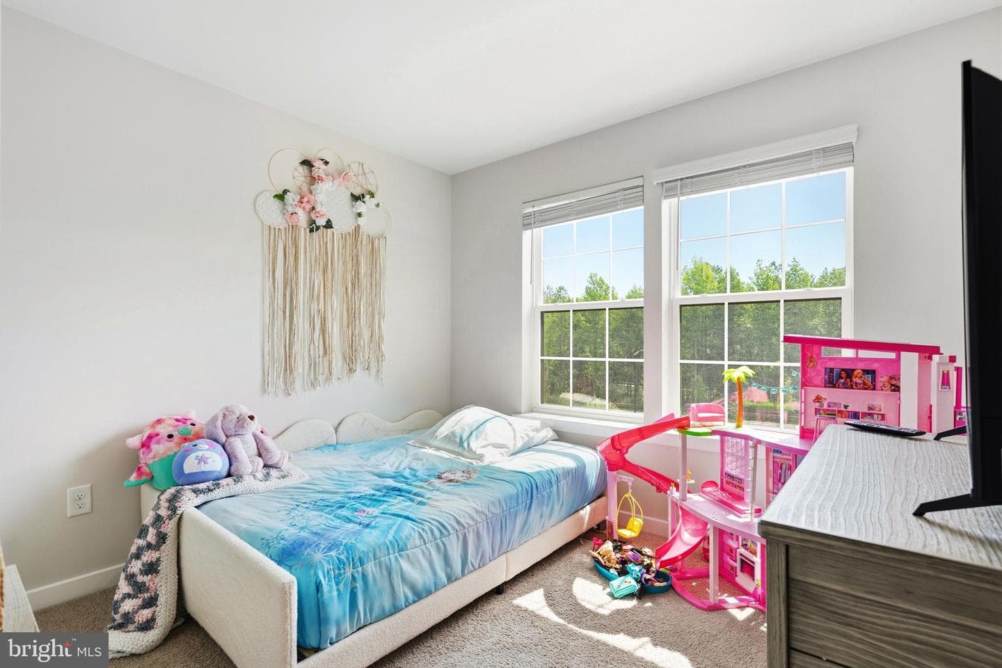369 Soft Rush Lane photo 23