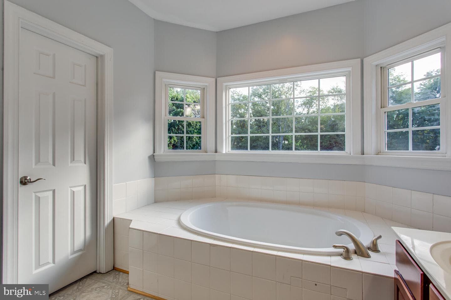 12120 Liberty Rose Place photo 49