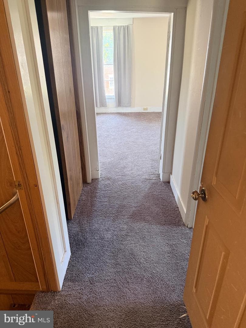 158 Wright Street photo 20