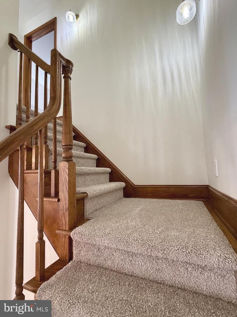 103 Williamson Street photo 25