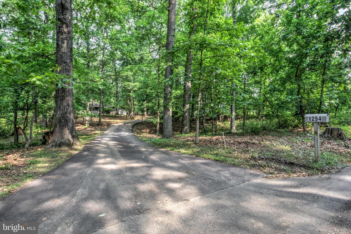 1254 Pinch Valley Road photo 3