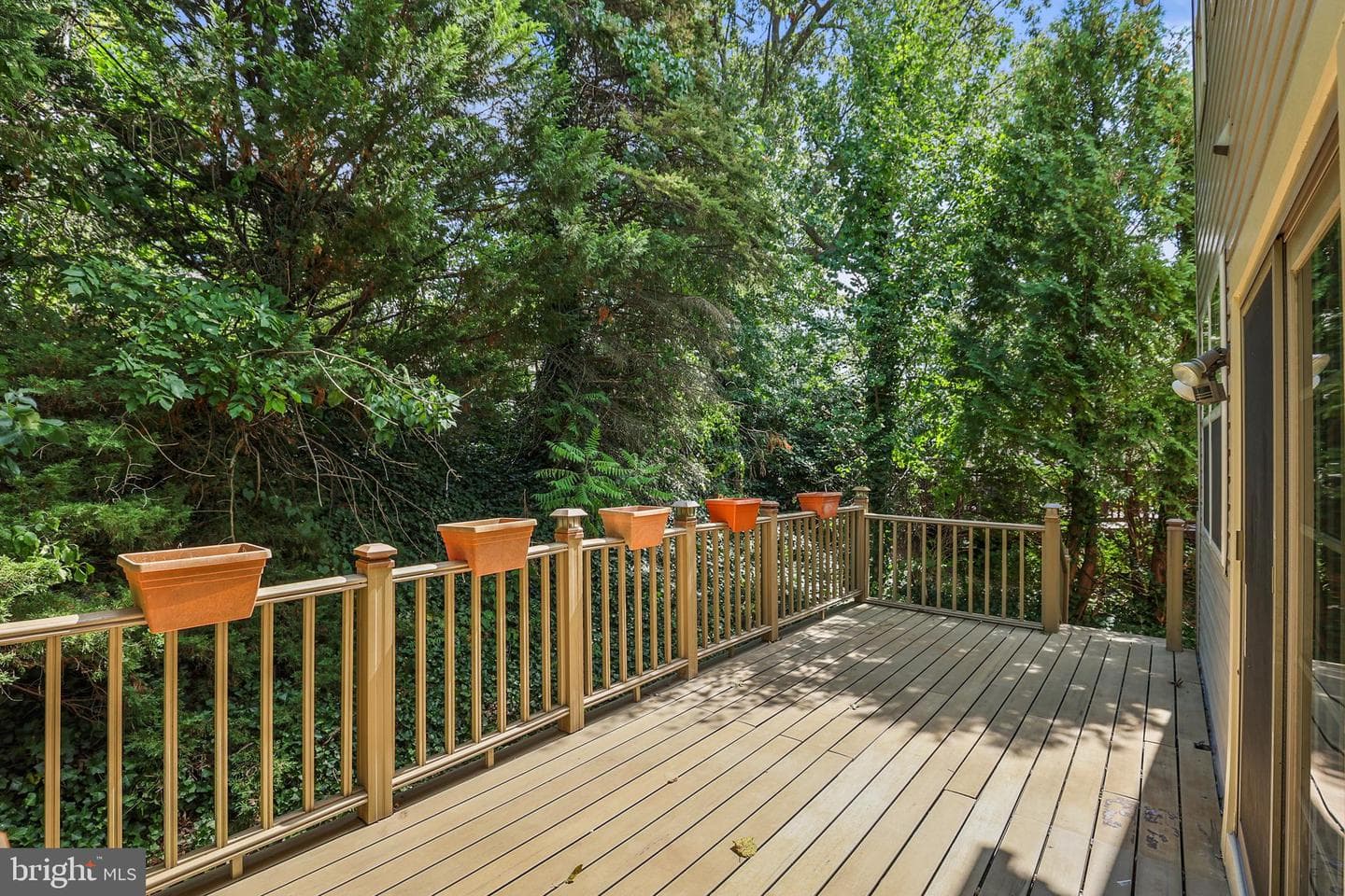 1159 Canon Way photo 29