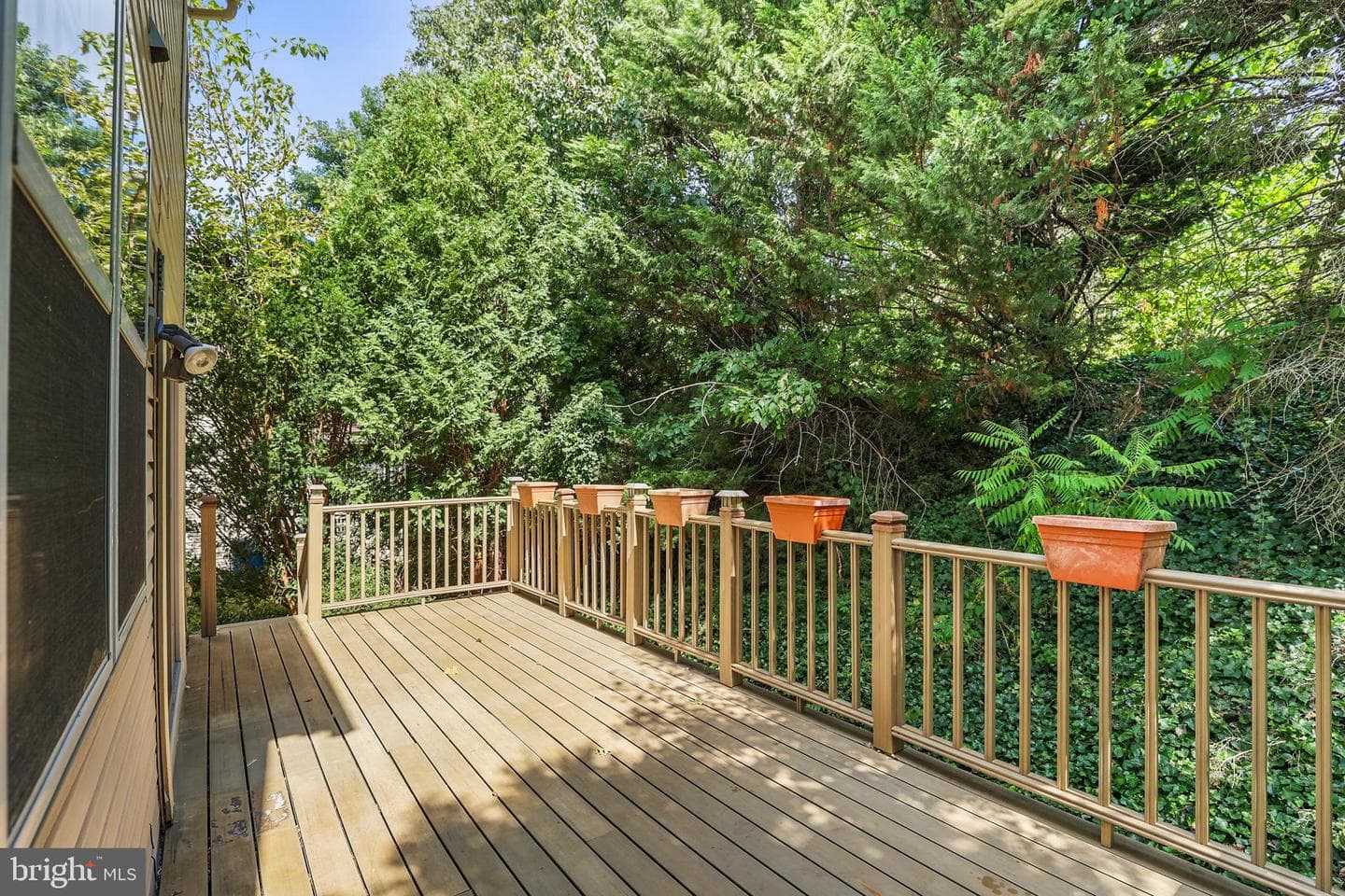 1159 Canon Way photo 31