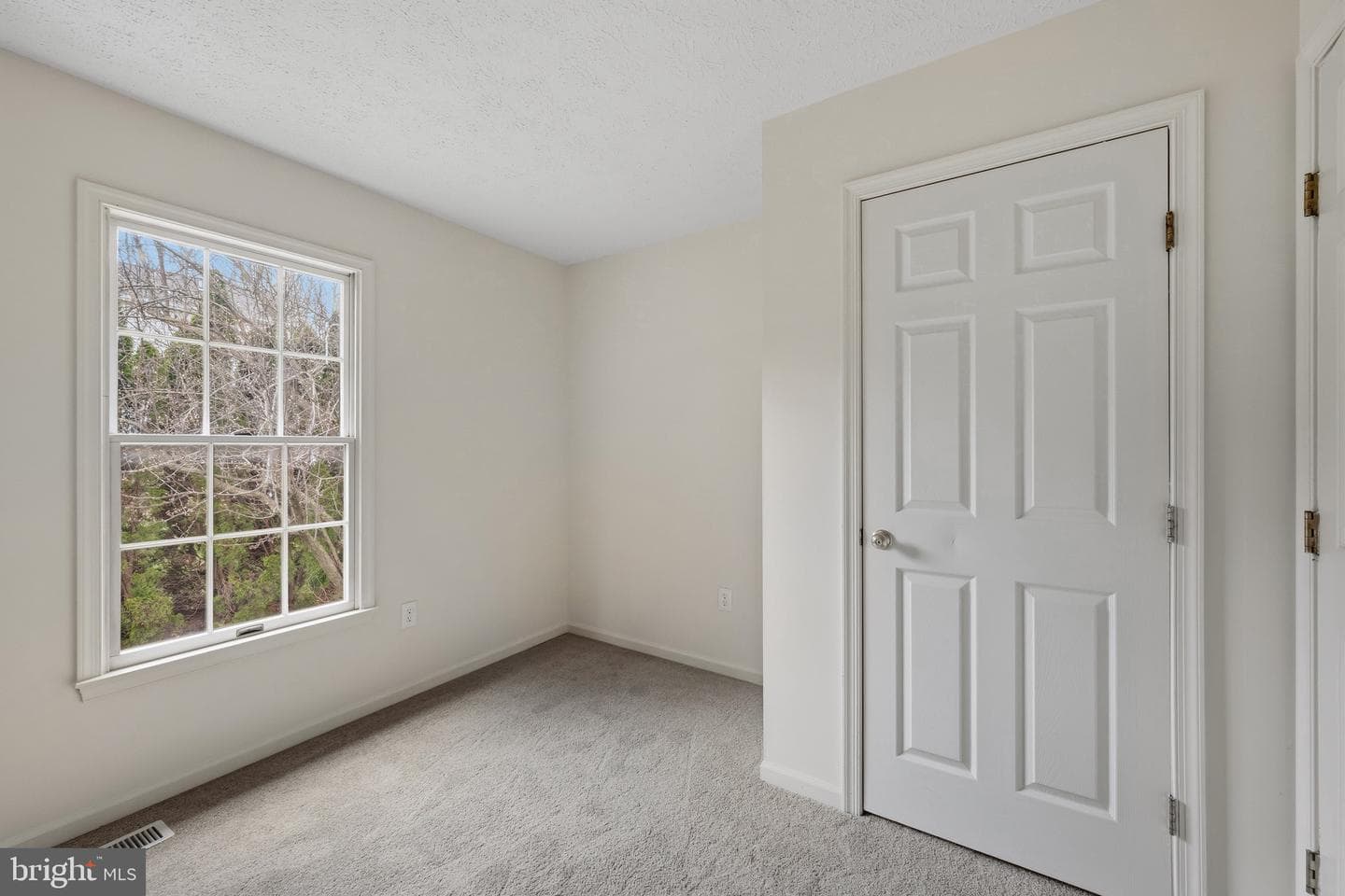 524 Yellow Lily Court photo 21
