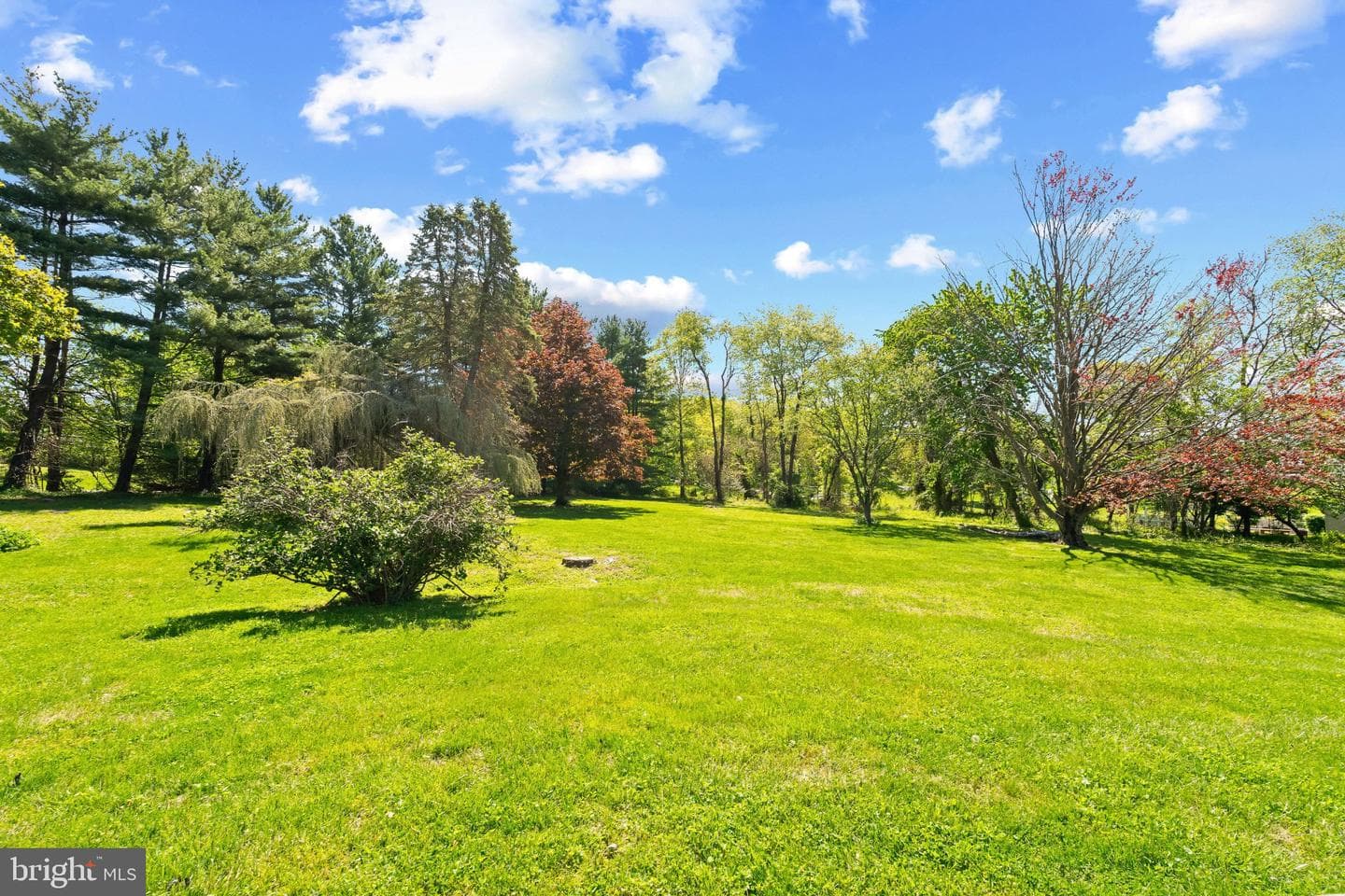 5422 Woodbine Road photo 40