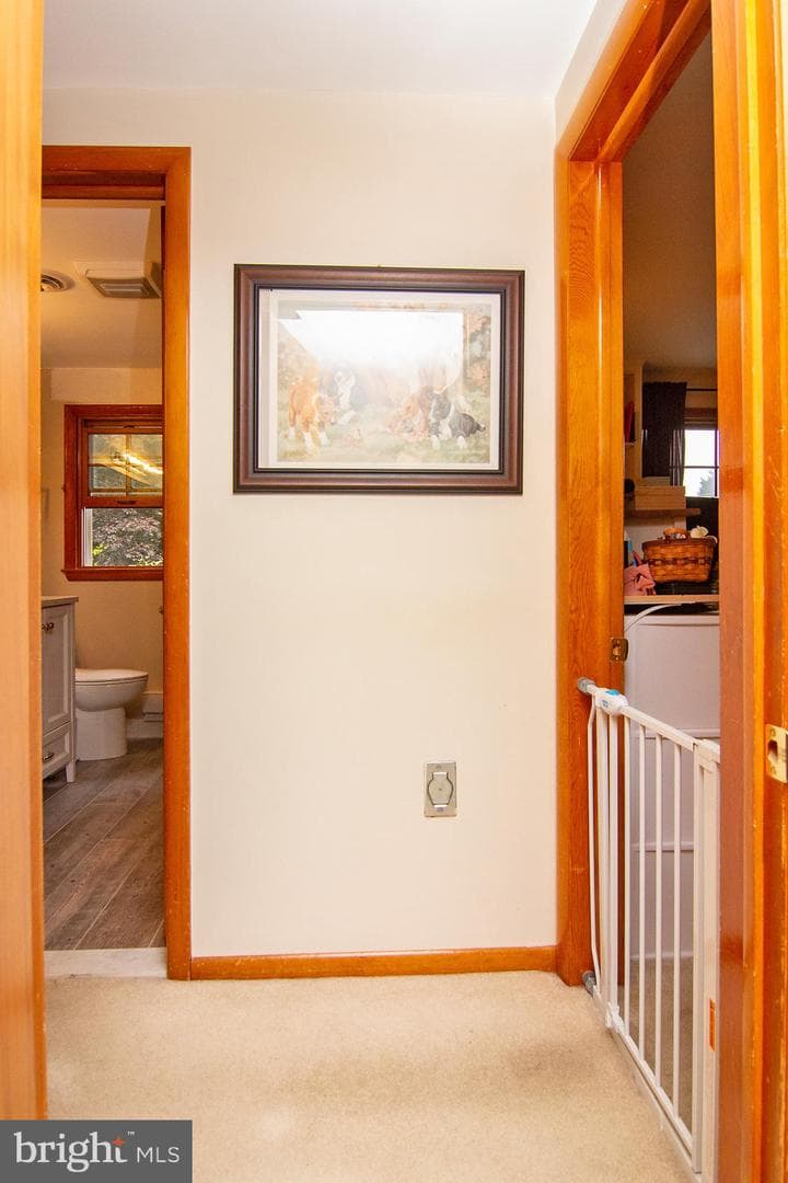 9 Sullivan Road photo 35