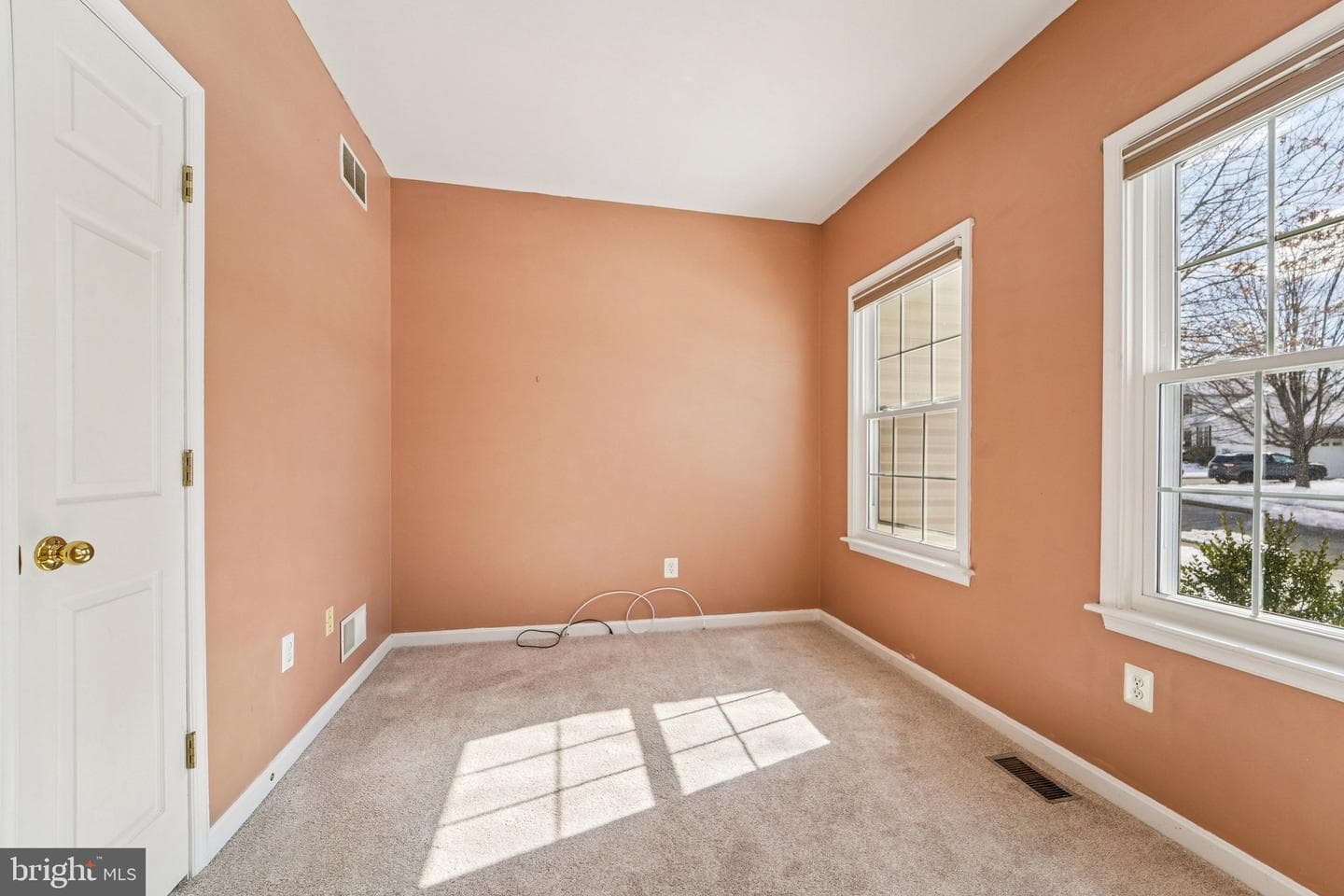 710 Bridlewreath Way photo 19
