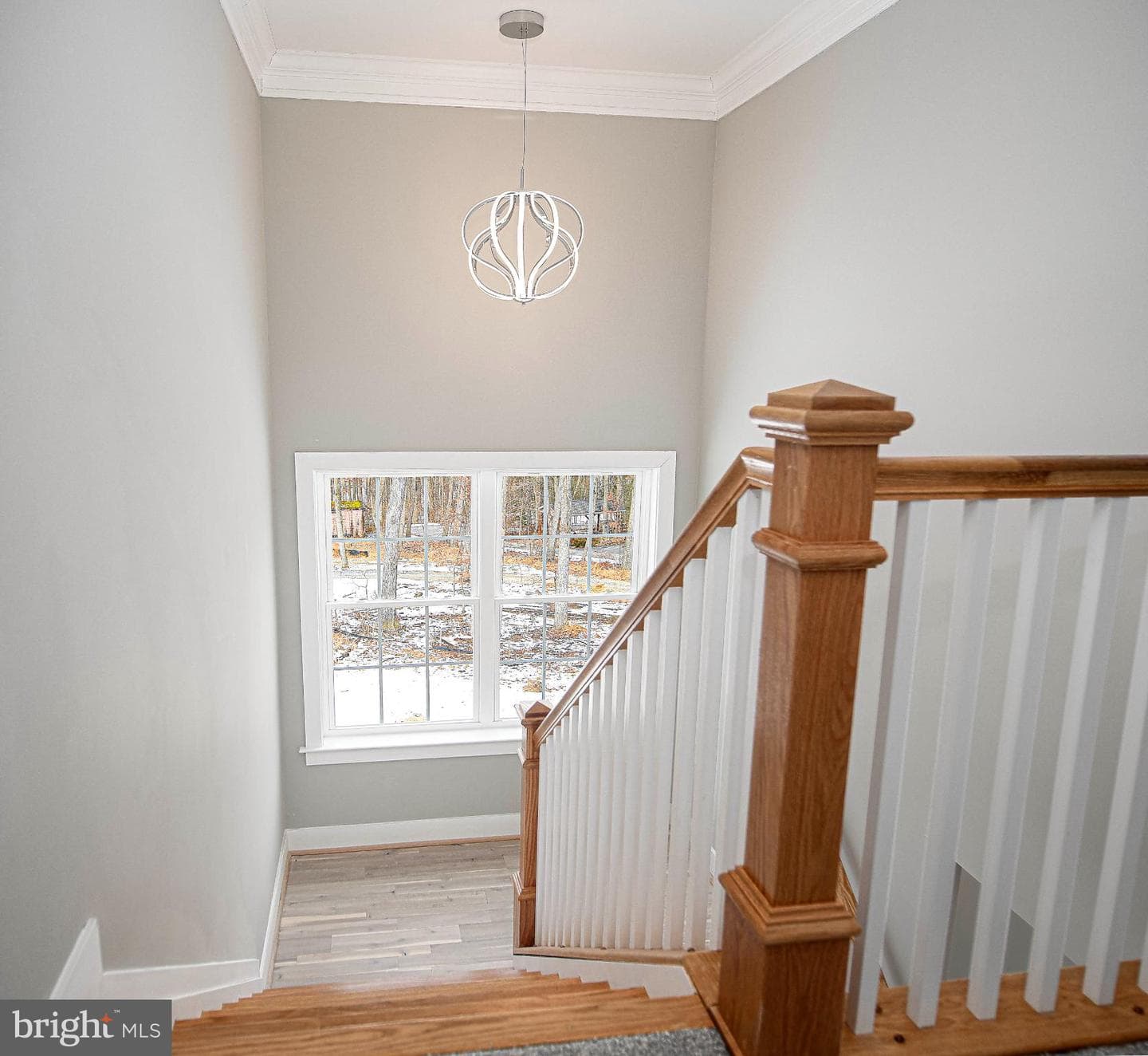 831 Deer Ridge Drive photo 28