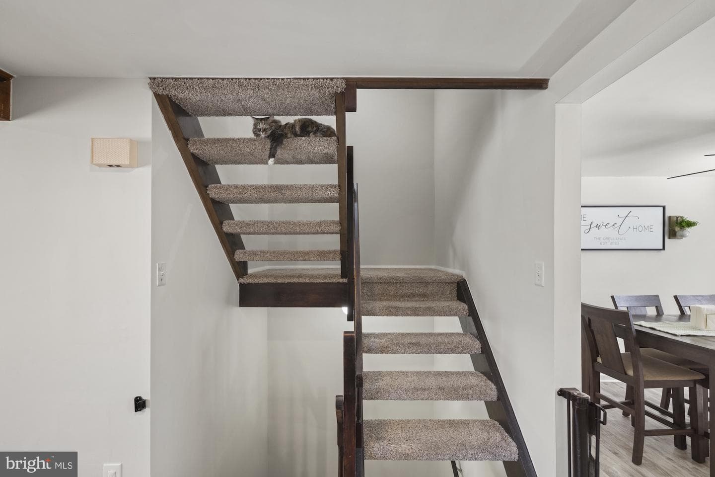 123 Marydell Drive photo 16