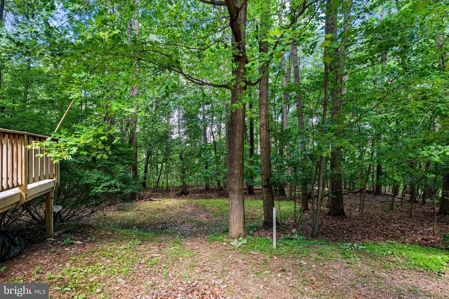 3330 Oakwood Drive photo 41
