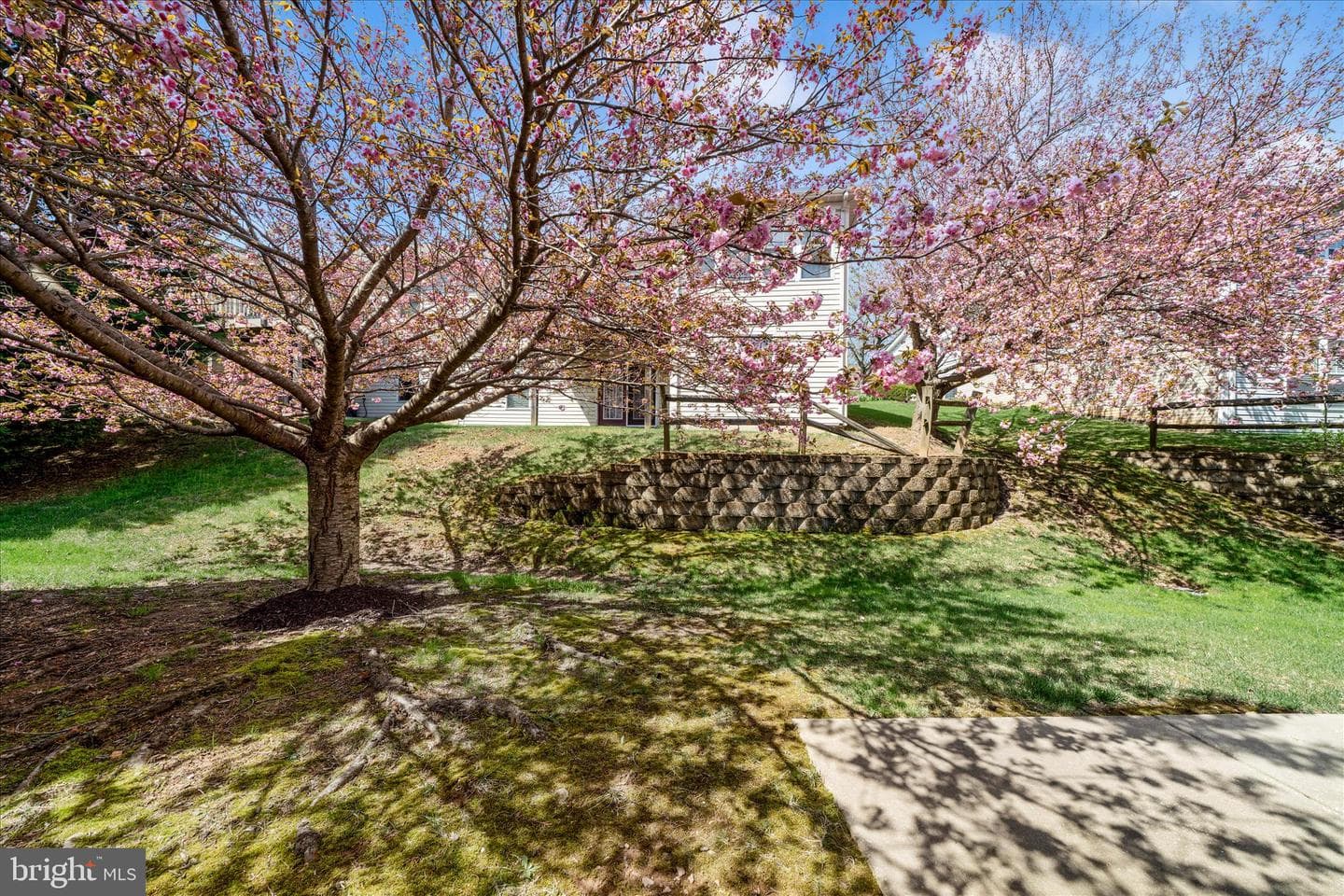 908 Roller Coaster Court photo 53