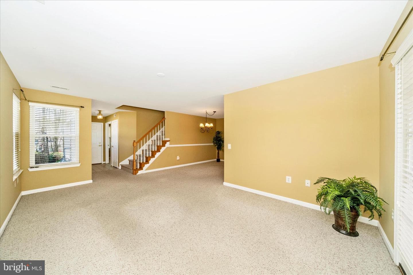 908 Roller Coaster Court photo 8