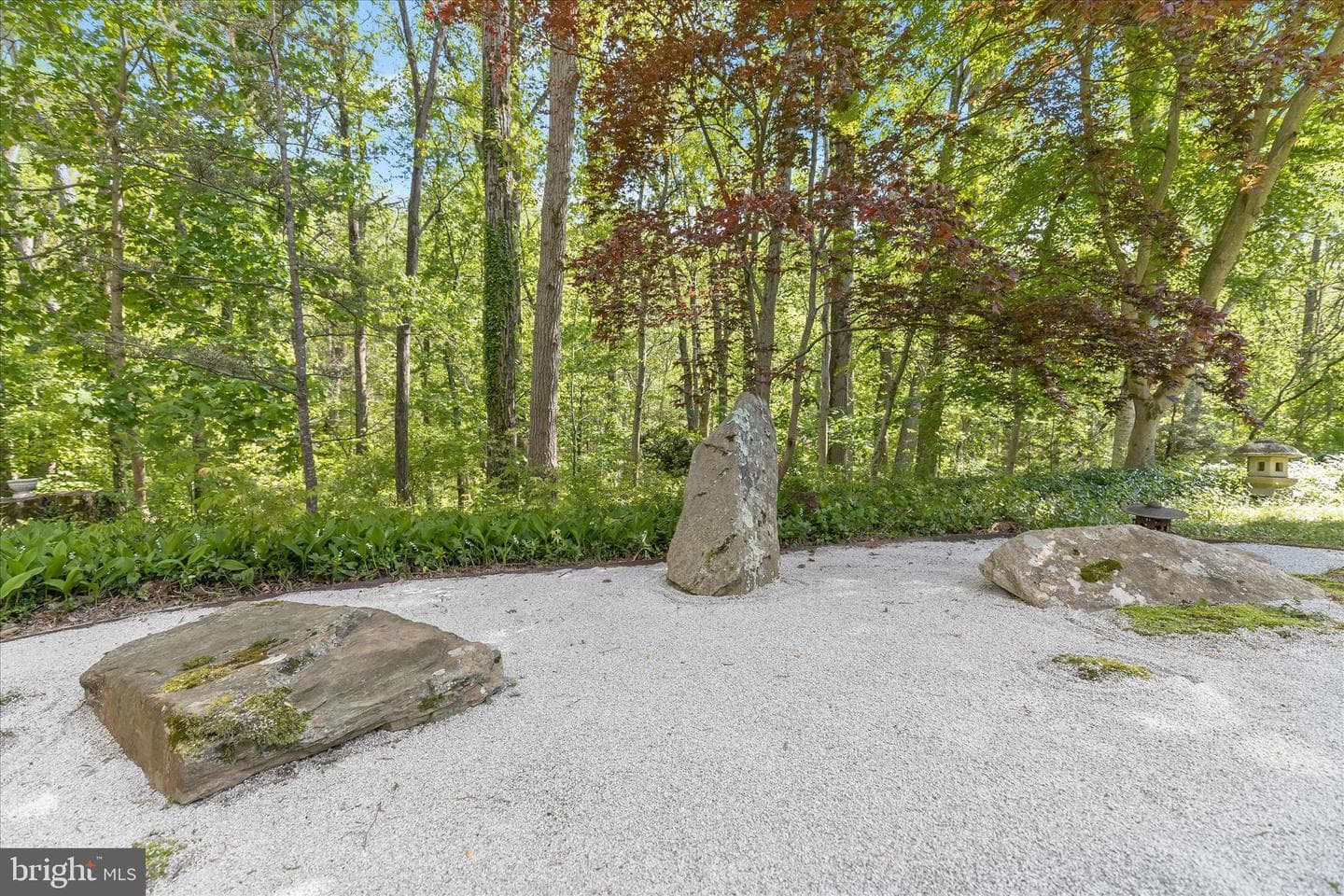 927 Buckhorn Road photo 110