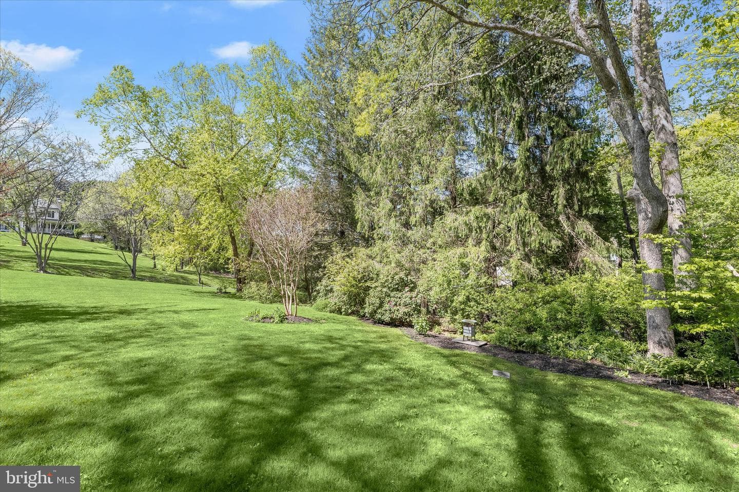 927 Buckhorn Road photo 117