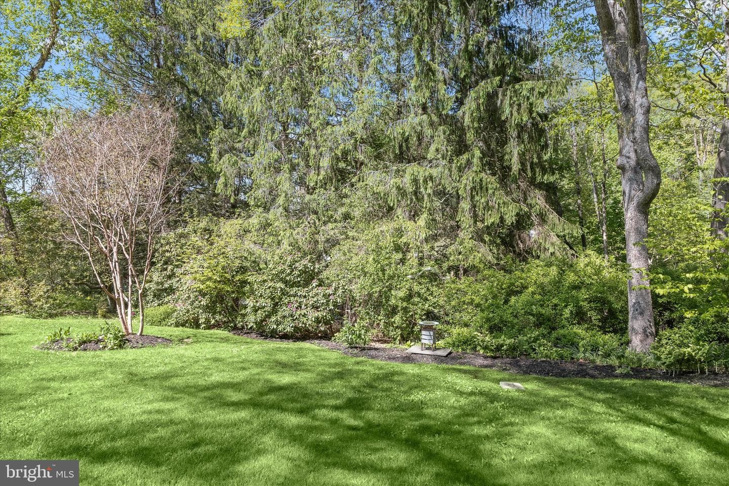 927 Buckhorn Road photo 118