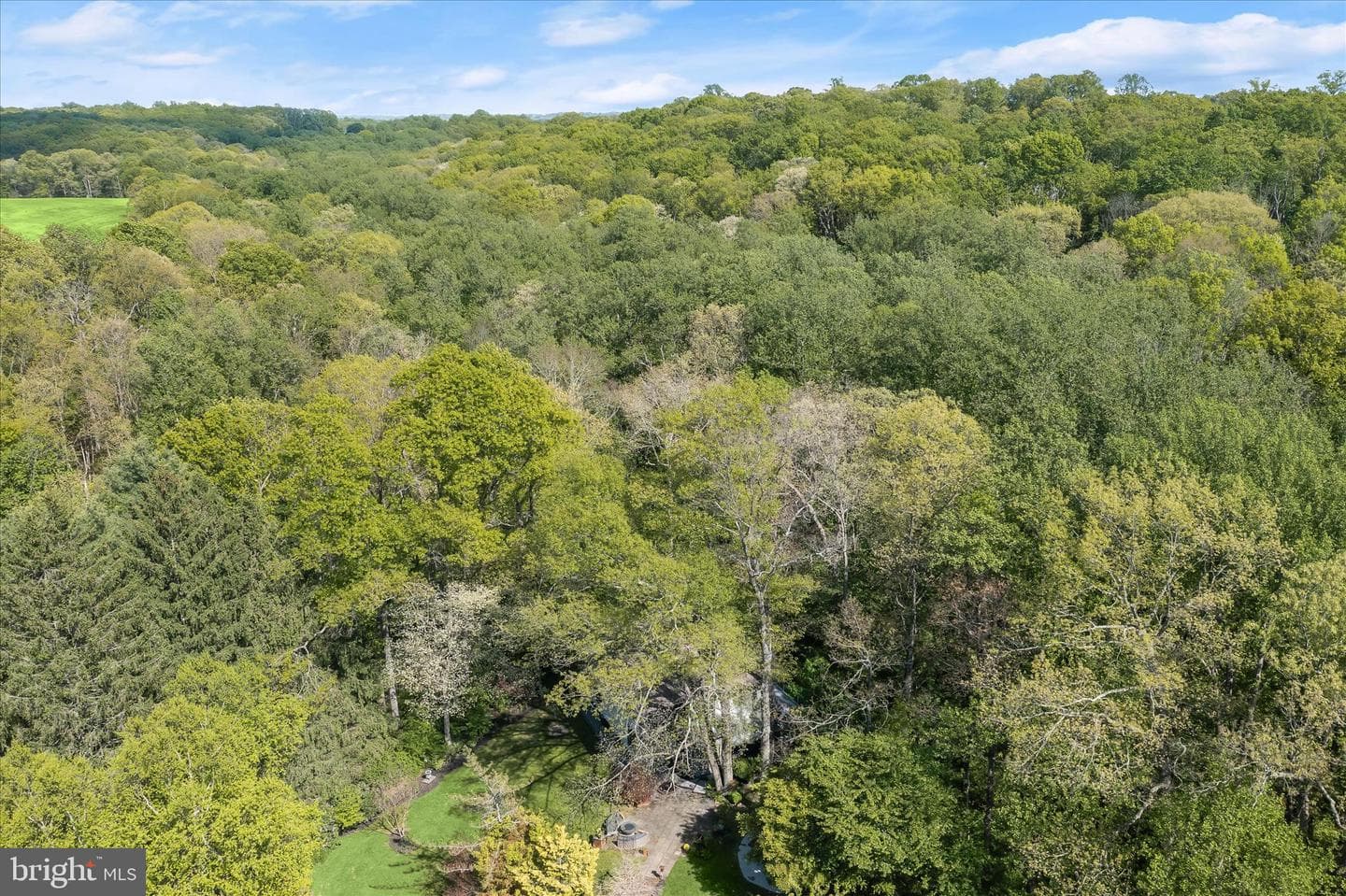 927 Buckhorn Road photo 131