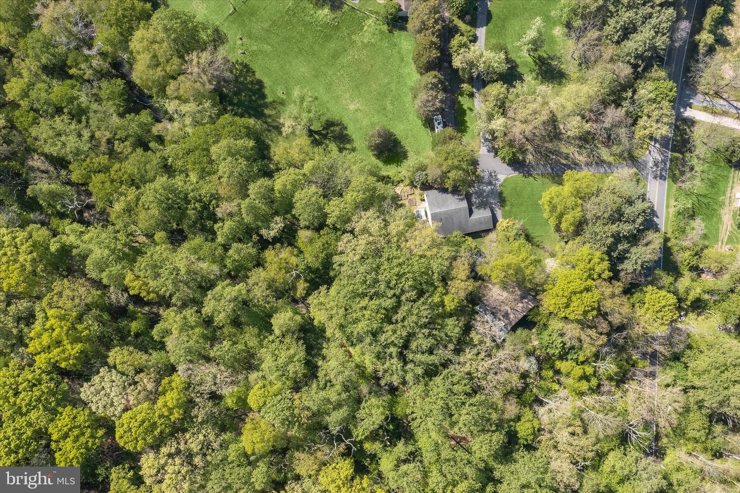927 Buckhorn Road photo 137