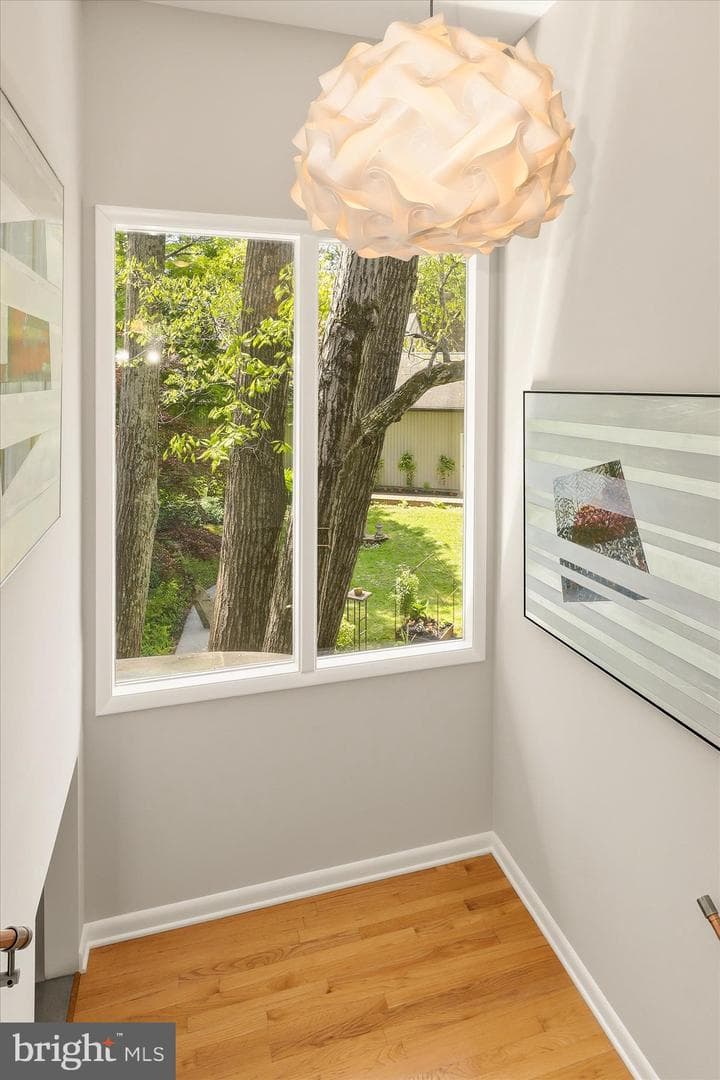 927 Buckhorn Road photo 39