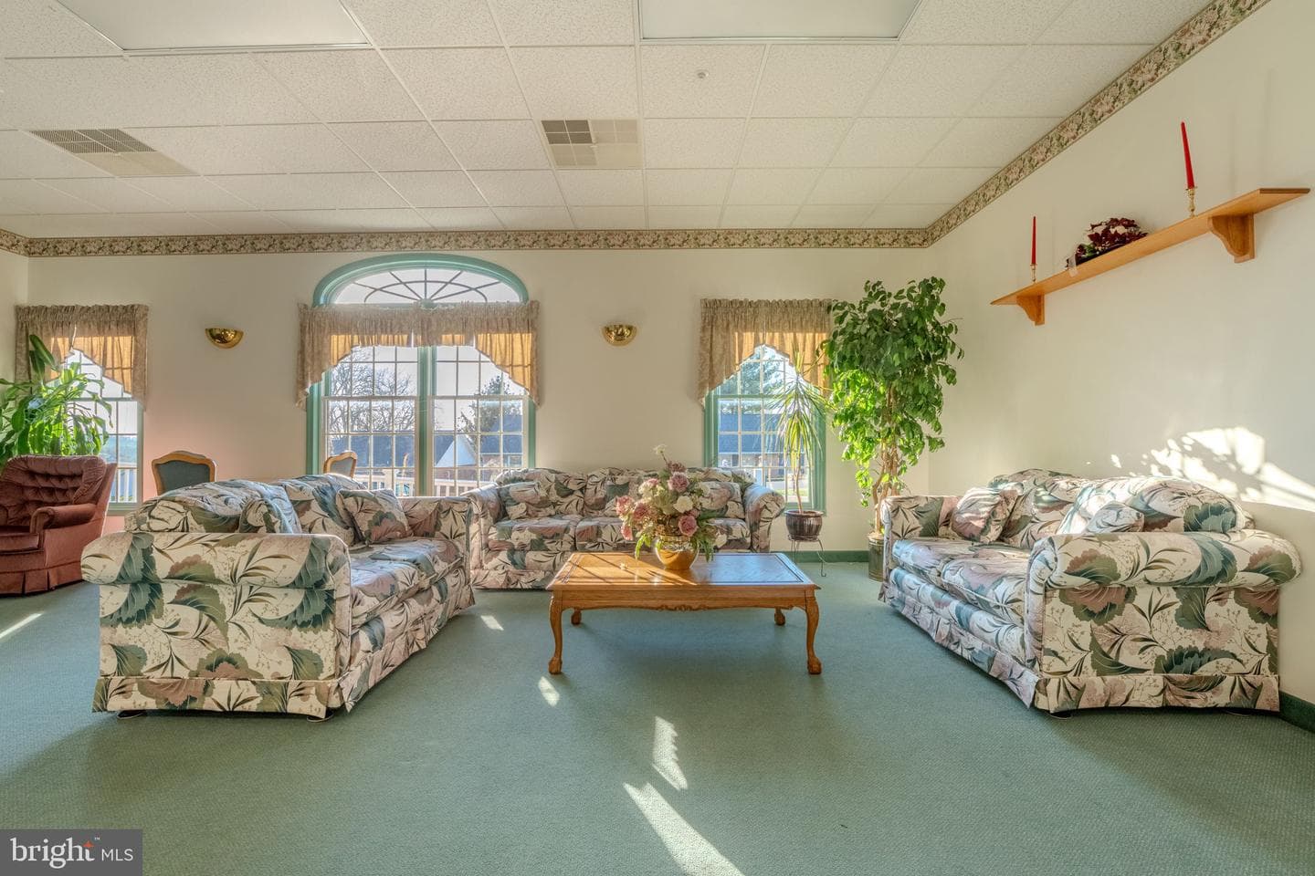 2814 Carlisle Drive #18 photo 34