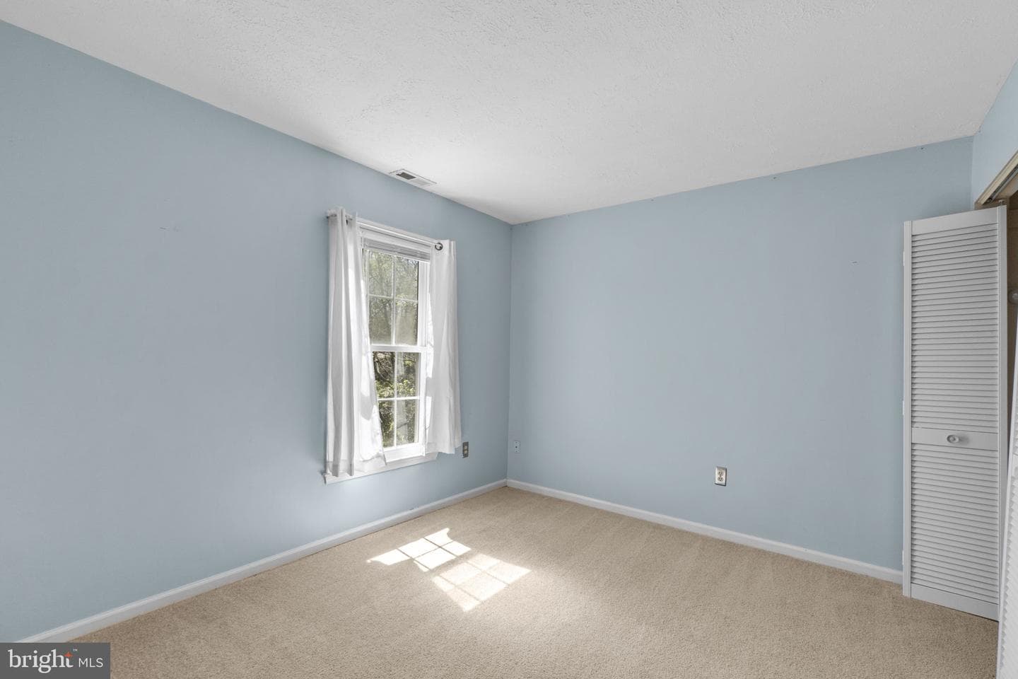 222 Hoff Court photo 20