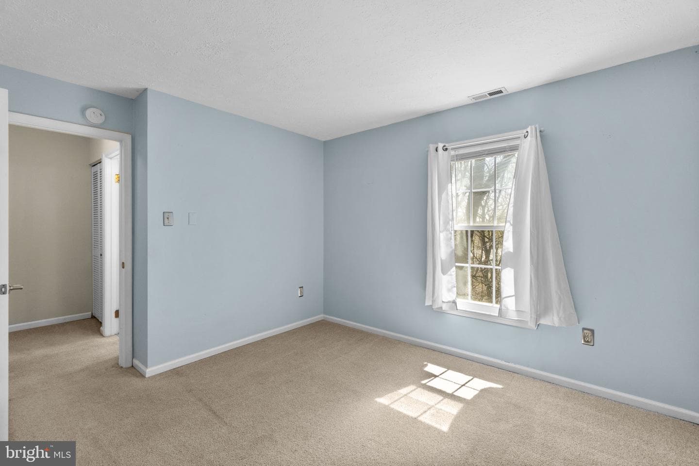 222 Hoff Court photo 21