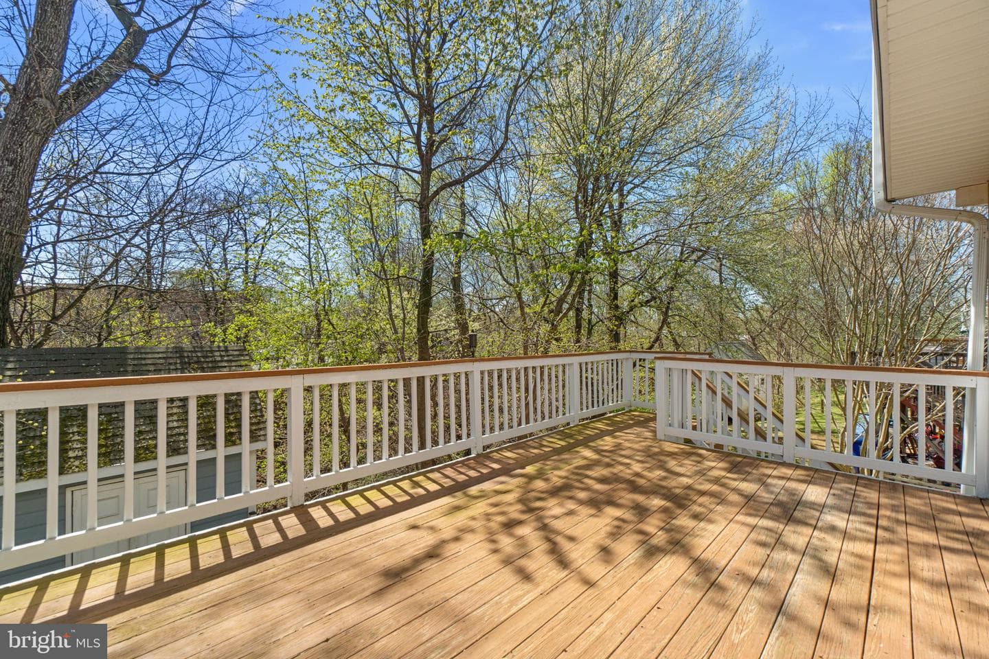 222 Hoff Court photo 36