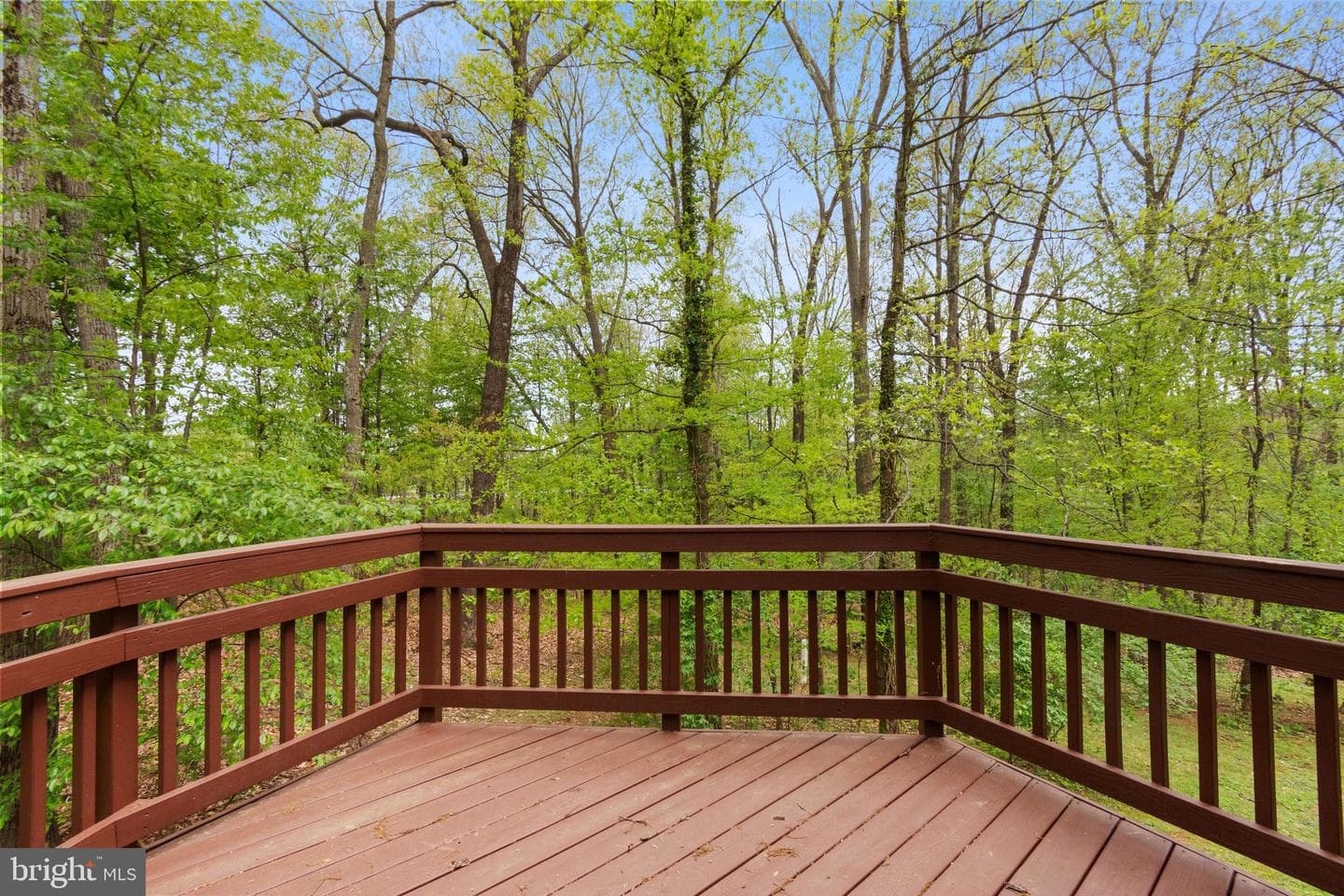 4036 Roop Road photo 49