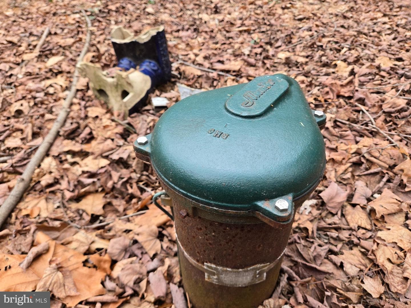 Farmington photo 22