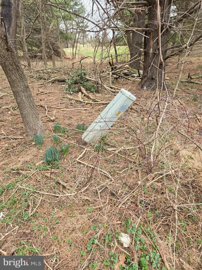 Farmington photo 31