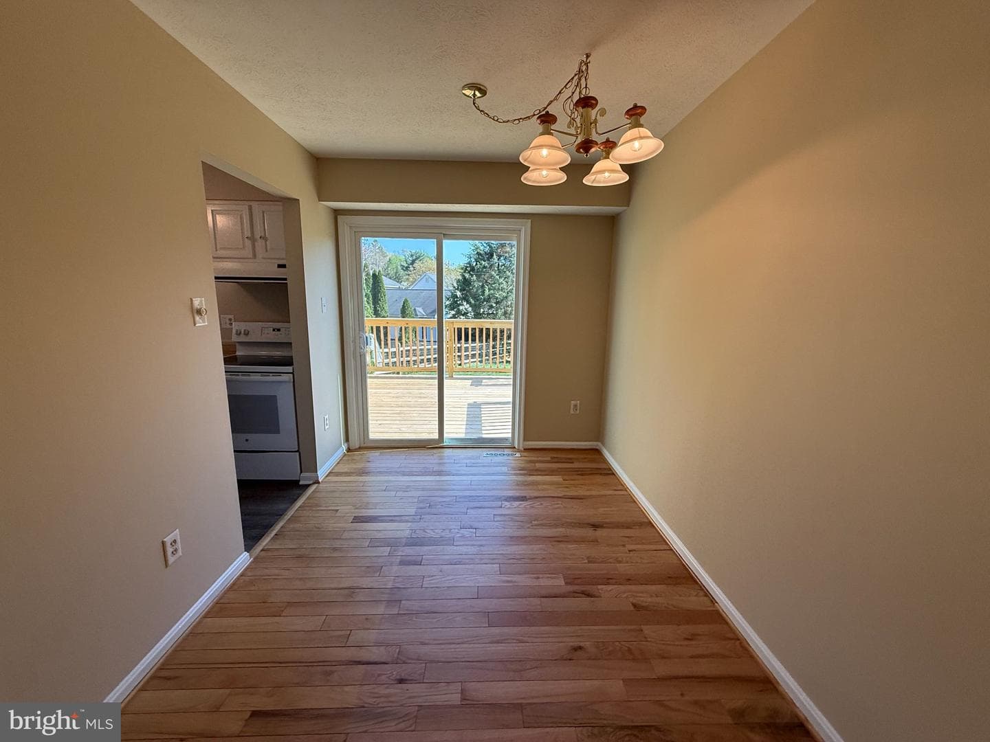 1576 Brimfield Circle photo 12