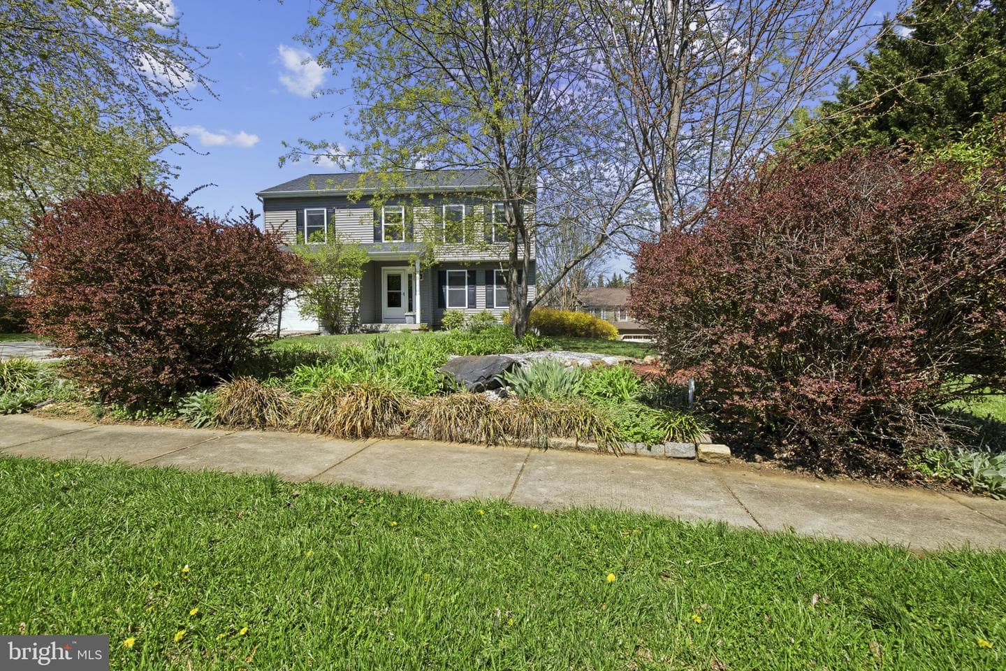 550 Yellow Lily Court photo 4