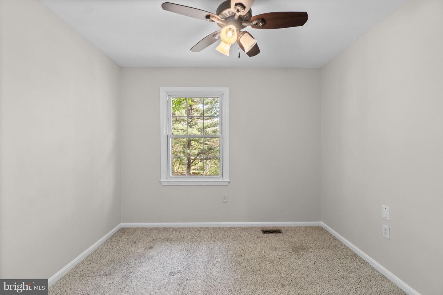 904 Caren Drive photo 31